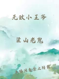 无敌小王爷