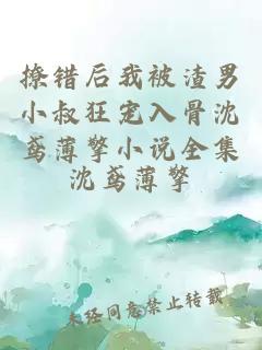 撩错后我被渣男小叔狂宠入骨沈鸢薄擎小说全集